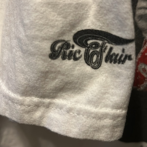 LIMITED EDITION WWE x ROOK Ric Flair T-Shirt Woooooo! Sz L HTF Retro Collectible - Picture 9 of 14